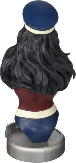 DC COMICS BOMBSHELLS BUSTE WONDER WOMAN 19 CM -Jouet Modèle Boutique 71e31gynenl ac sl1500
