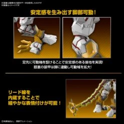 BANDAI Figure-rise Standard Amplified ShineGreymon (Digimon) -Jouet Modèle Boutique bans65324 7