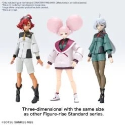 BANDAI Figure-rise Standard Chuatury Panlunch 21 BANDAI Figure-rise Standard Chuatury Panlunch -Jouet Modèle Boutique frs chuatury panlunch o9