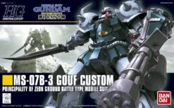 BANDAI GUN59165 GUNPLA HG 1/144 117 GOUF CUSTOM