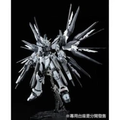 BANDAI RG 1/144 Strike Freedom Gundam Deactive Mode -Jouet Modèle Boutique pb rg strike freedom deactive mode 5 660x809 1